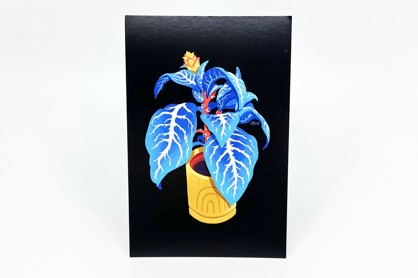 ZEBRA PLANT // POSTCARD PRINT