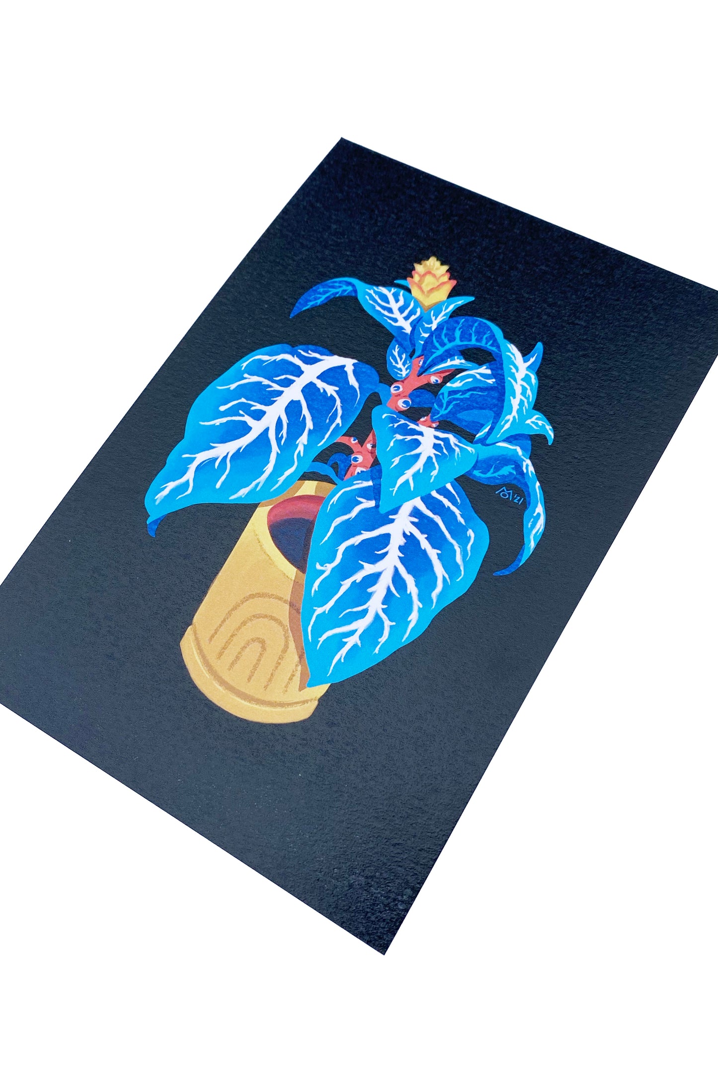 Zebra Plant Postcard Print
