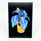 ZEBRA PLANT // POSTCARD PRINT