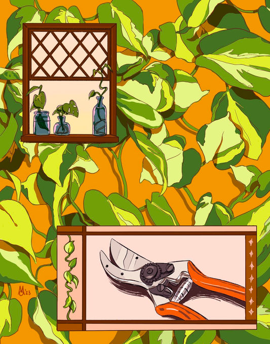 Pothos Plant // Digital Print