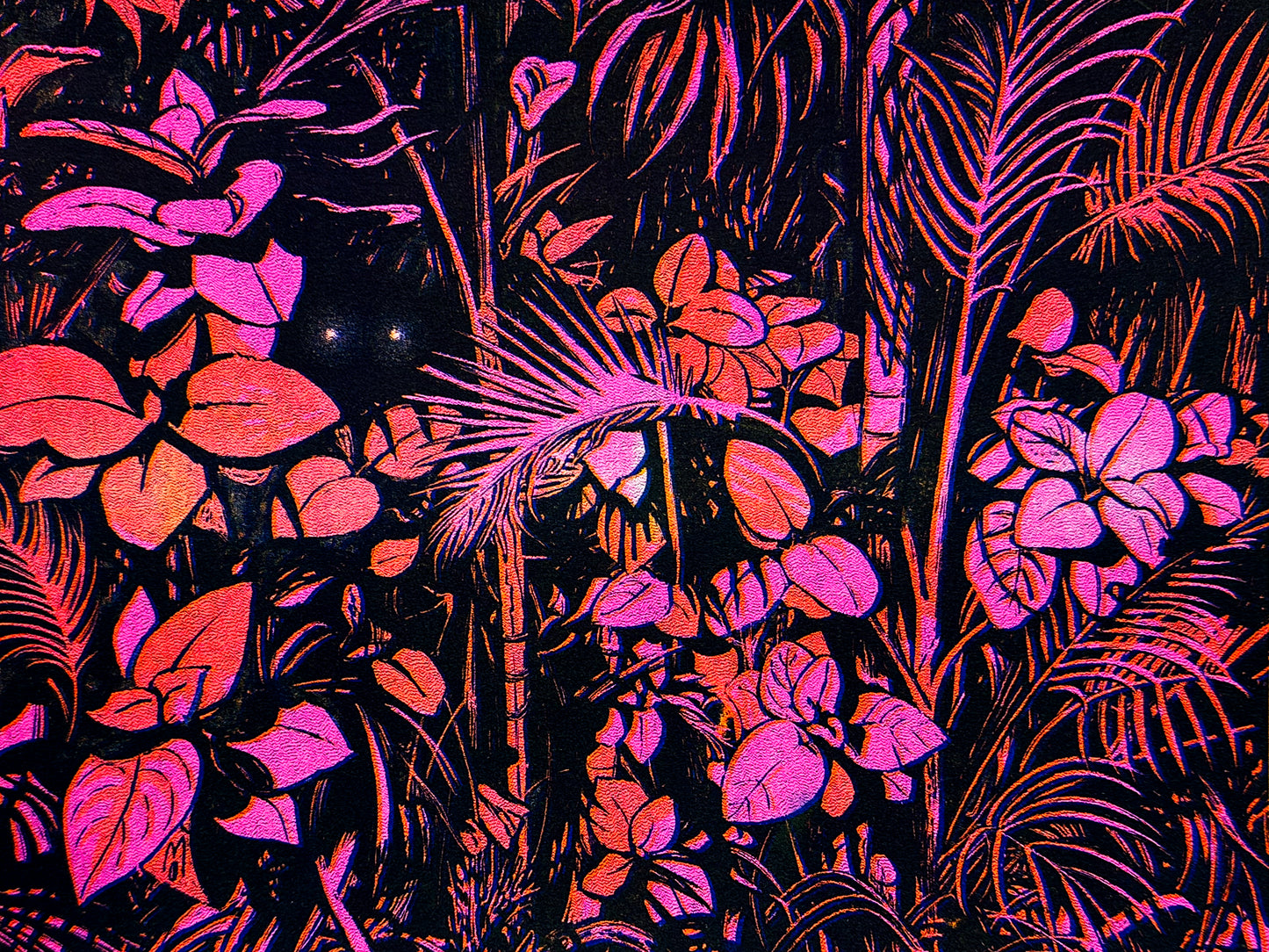 NIGHT PLANTS // RISOGRAPH PRINT