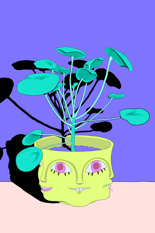 Grinning Pilea // Digital Print